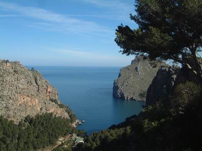DSCF0138.JPG